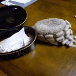 Antiek advocatenpruikje 3