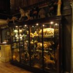 Antieke brede vitrine met gebogen glas 1