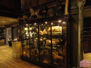 Antieke brede vitrine met gebogen glas