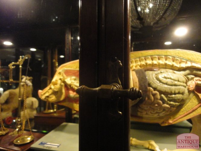 Antieke brede vitrine met gebogen glas 3