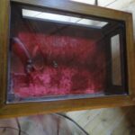 antieke Edwardian vitrinekastje 2