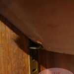 Antieke eikenhouten Engelse boekenkast 3