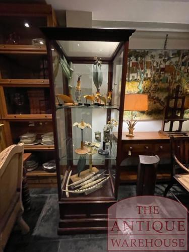 Antieke Engelse vitrinekast, museumkast, shop display cabinet