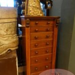 Antieke mahoniehouten Engelse Wellington ladenkast 2