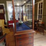 antieke museum vitrine 2