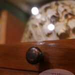 Antieke originele mahoniehouten Globe Wernicke stapelbare boekenkast 3