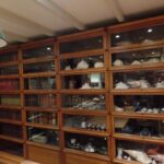 Antieke viervoudige eiken originele Globe Wernicke boekenkast 3