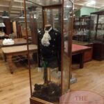 Antieke vitrinekast van eikenhouten 2