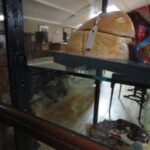 antieke vitrinekast 3