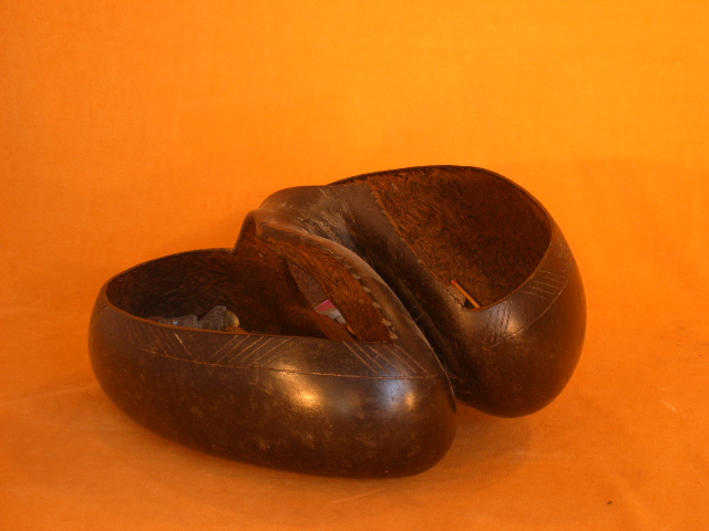 Coco de Mer, Seychellen noot, VERKOCHT