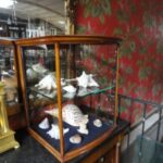 diverse antieke vitrinekasten binnen gekomen 1