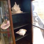 kleine antieke vitrine 3