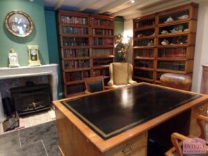 oak antique library original Globe Wernicke bookcase