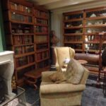 Eiken stapelbare antieke bibliotheek originele Globe Wernicke boekenkast 3