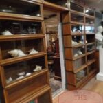 Originele Globe Wernicke Breakfront boekenkast circa 1900 2