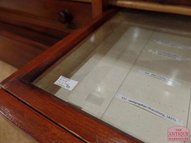 antiek verzamelkastje, medicijnenkastje 3