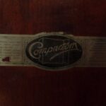 Unieke Engelse mahonie compactom 2