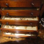 antiek vlinderkastje 2