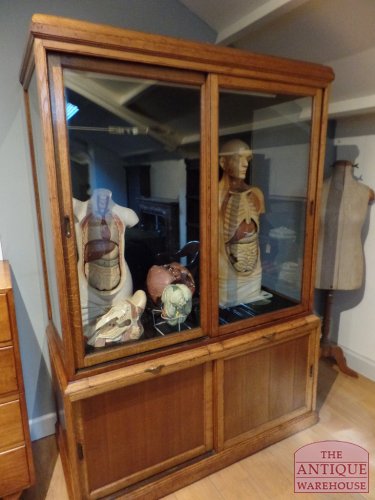 antieke eiken museum vitrinekast 3