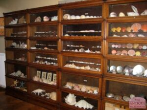 viervoudige antieke eiken Globe Wernicke boekenkast, VERKOCHT